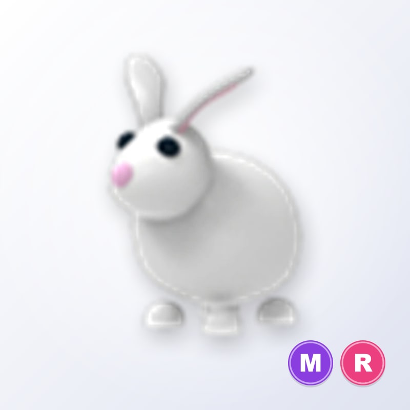 Rabbit MR | Adopt Me