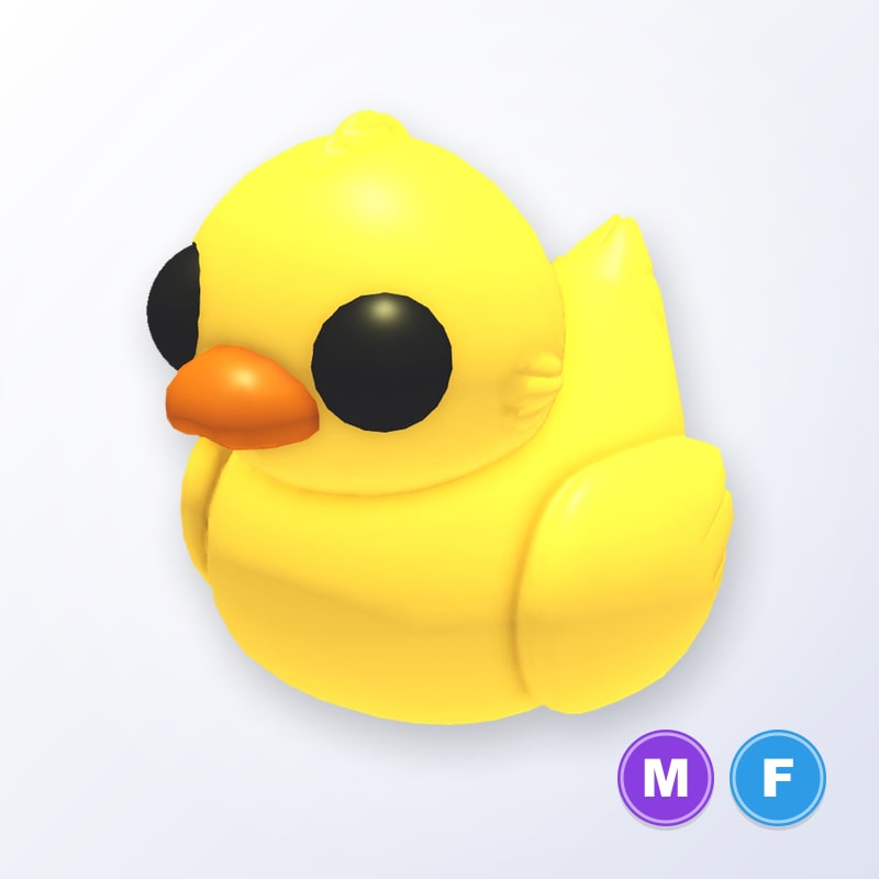 Rubber Ducky MF | Adopt Me