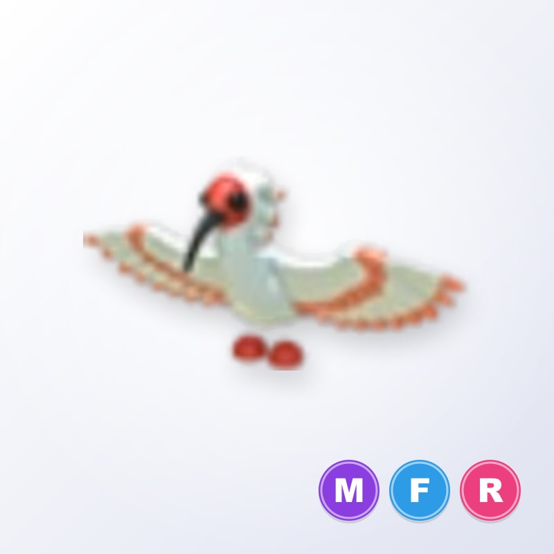 Ibis MFR | Adopt Me