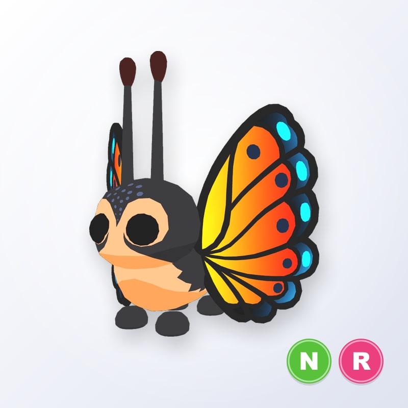 Mirai Moth NR | Adopt Me