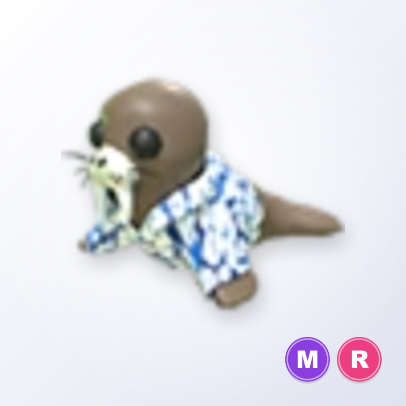 Summer Walrus MR | Adopt Me