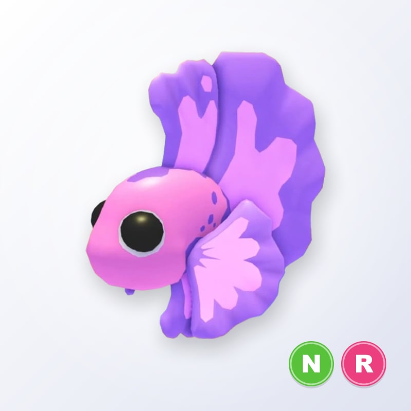 Pink Betta Fish NR | Adopt Me