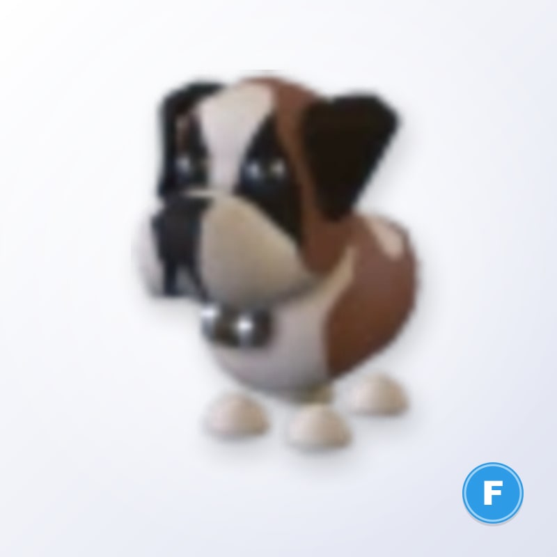 St Bernard F | Adopt Me