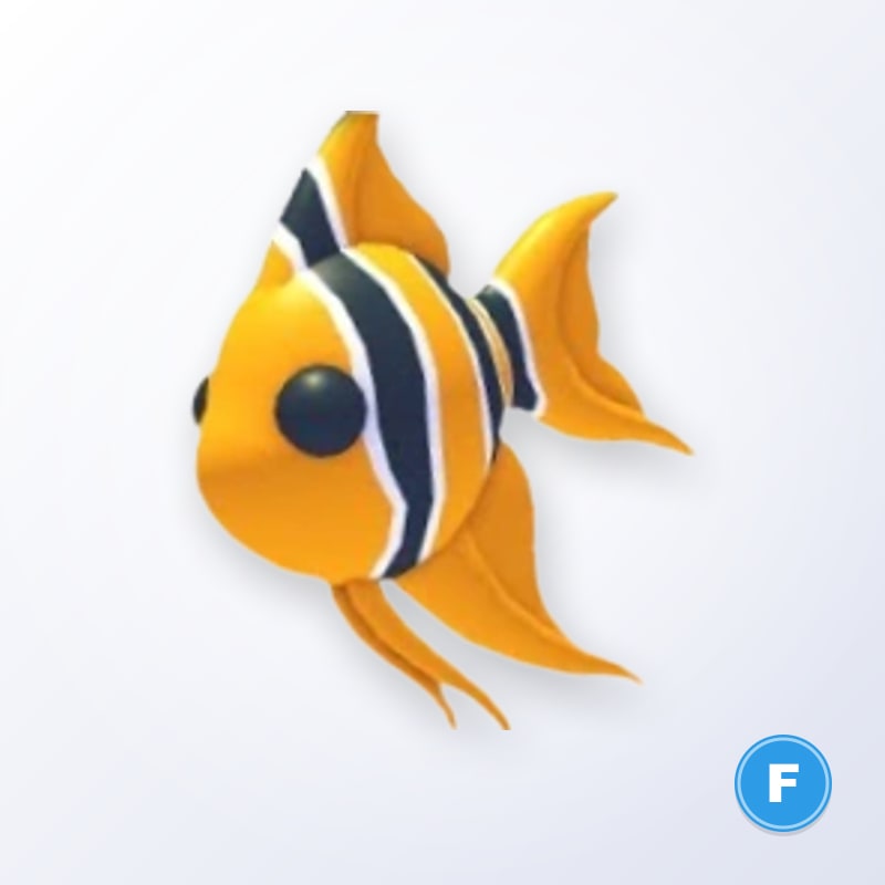 Angelfish F | Adopt Me