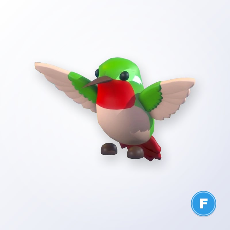 Hummingbird F | Adopt Me