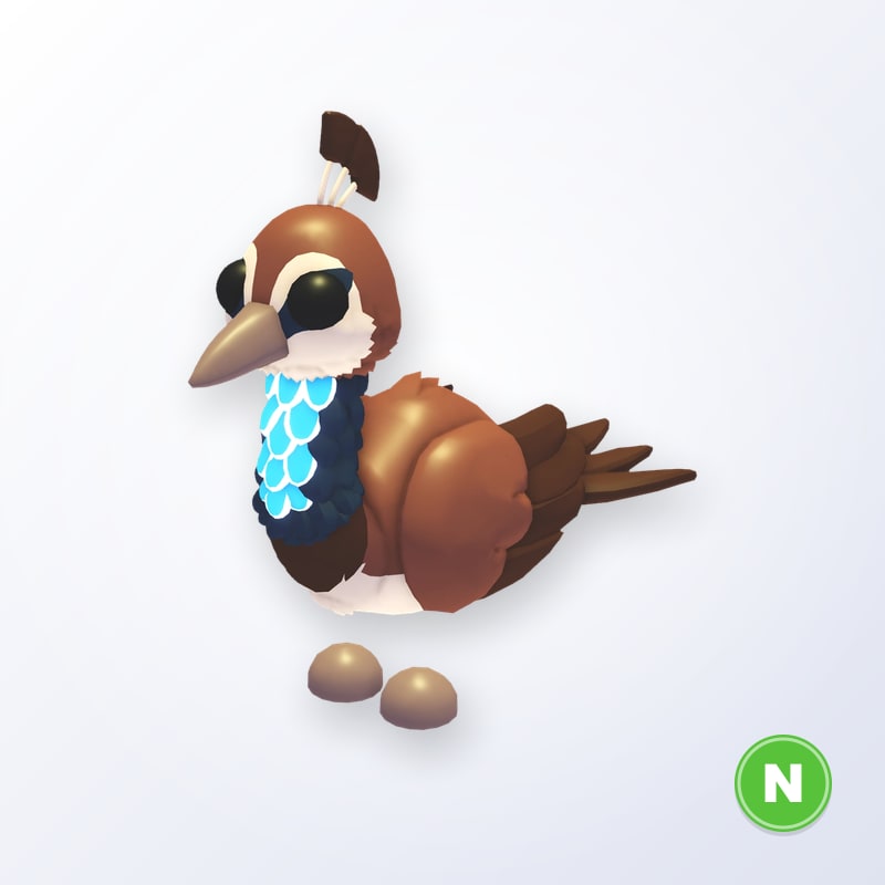 Peahen N | Adopt Me