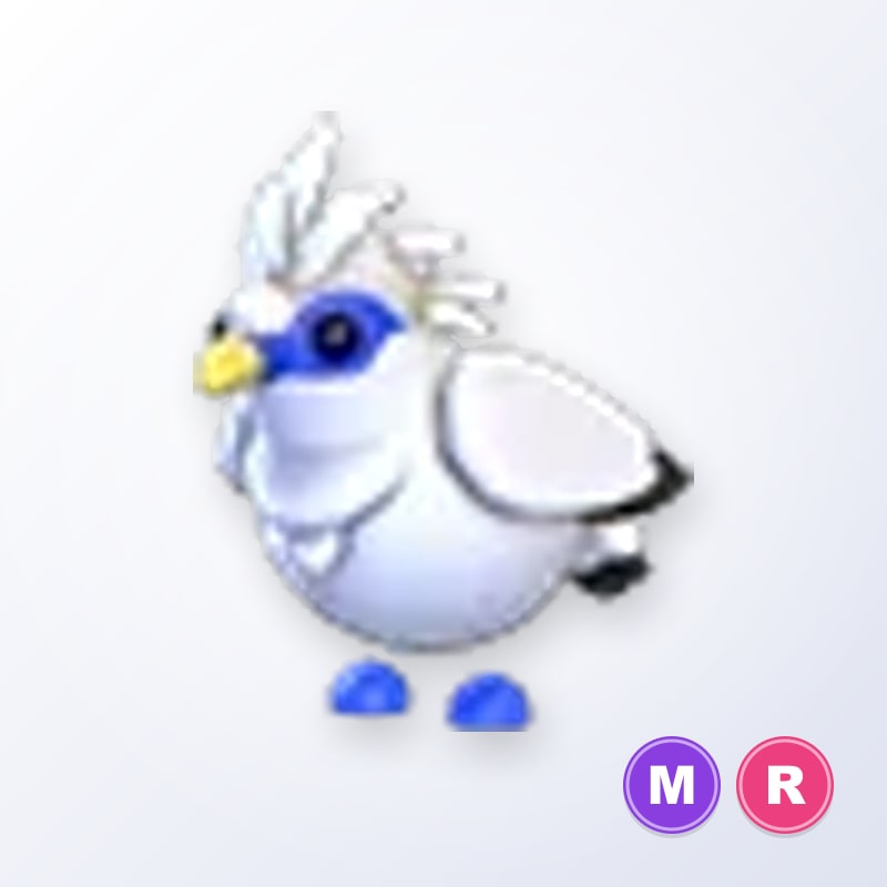 Bali Starling MR | Adopt Me