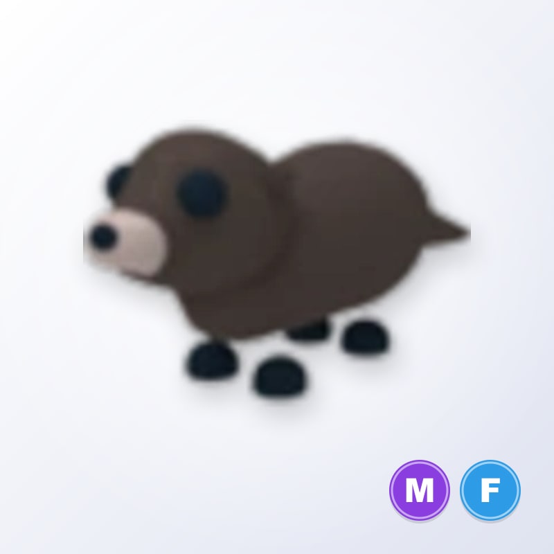Otter MF | Adopt Me