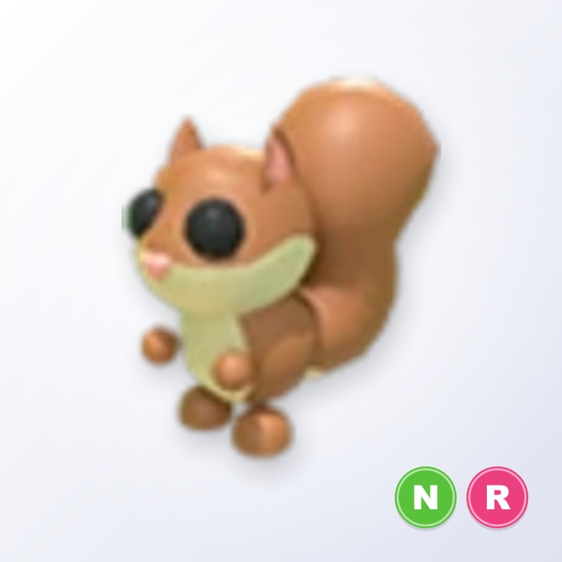 Red Squirrel NR | Adopt Me