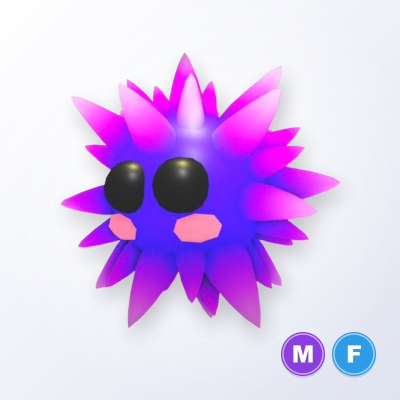 Urchin MF | Adopt Me