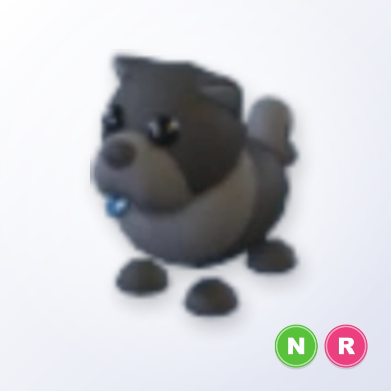 Black Chow-Chow NR | Adopt Me