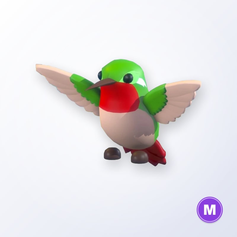 Hummingbird M | Adopt Me
