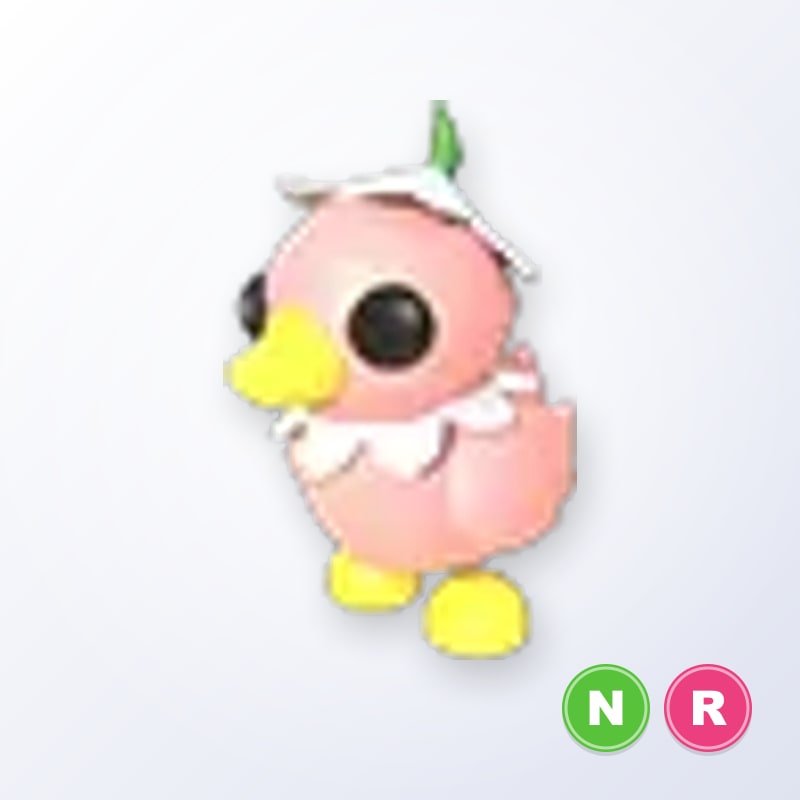 Flower Power Duckling NR | Adopt Me