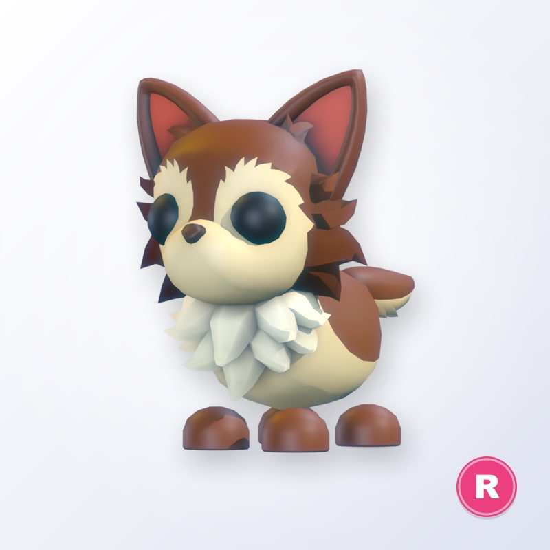Chihuahua R | Adopt Me