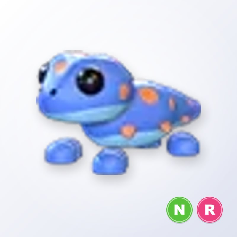 Gecko NR | Adopt Me