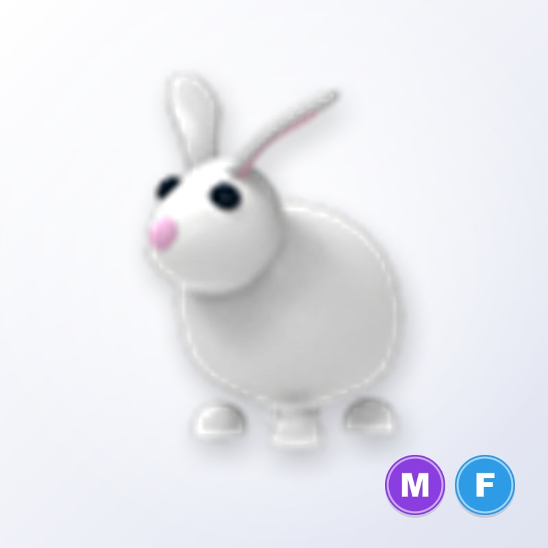 Rabbit MF | Adopt Me