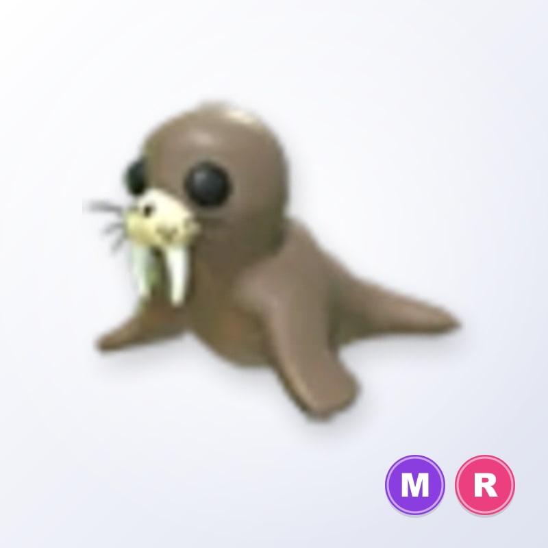 Walrus MR | Adopt Me
