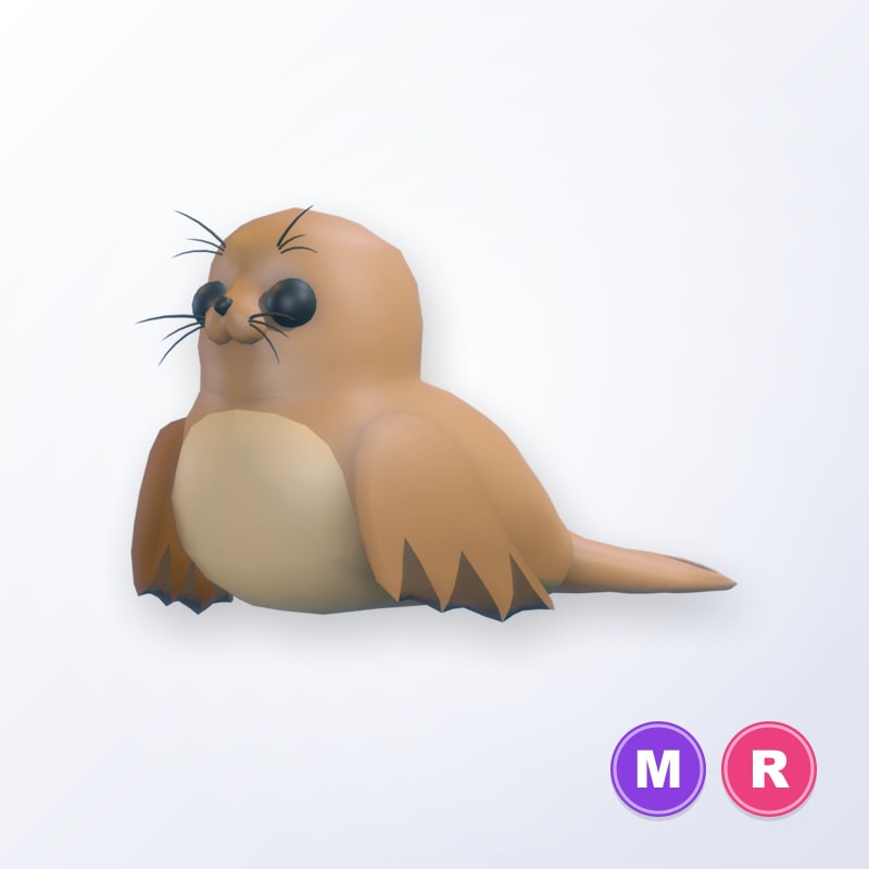 Galapagos Sea Lion MR | Adopt Me