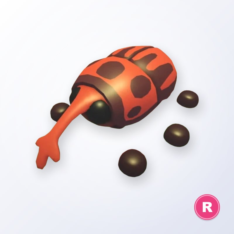 Weevil R | Adopt Me