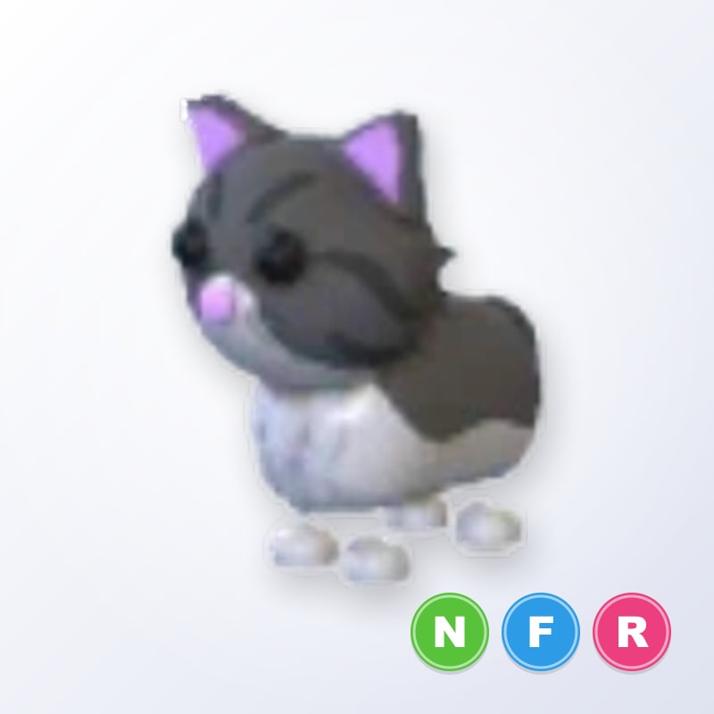Persian Cat NFR | Adopt Me