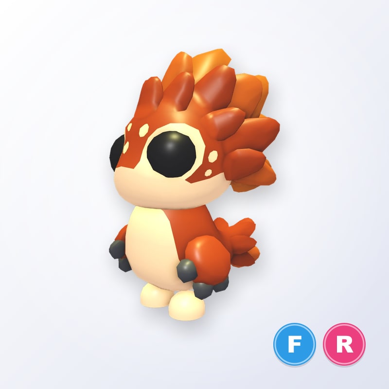 Chanekeh FR | Adopt Me