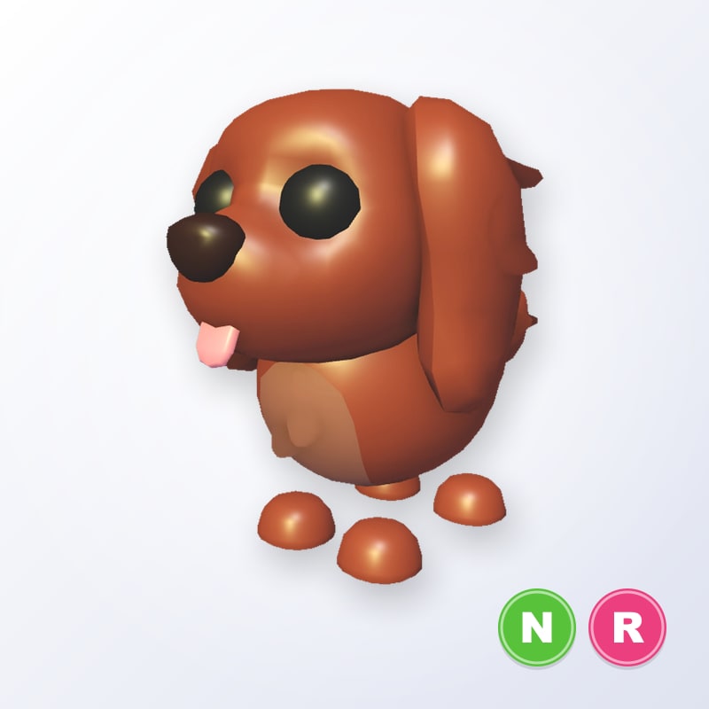 Irish Setter NR | Adopt Me