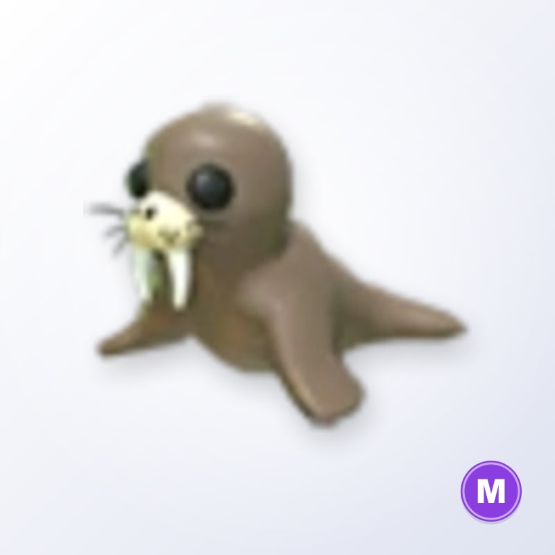 Walrus M | Adopt Me