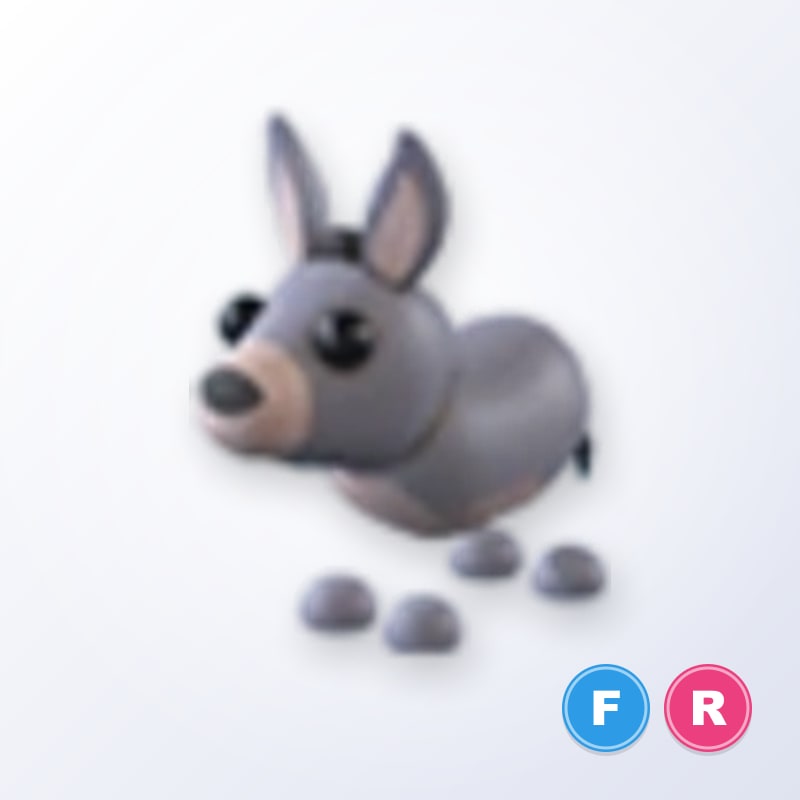 Donkey FR | Adopt Me