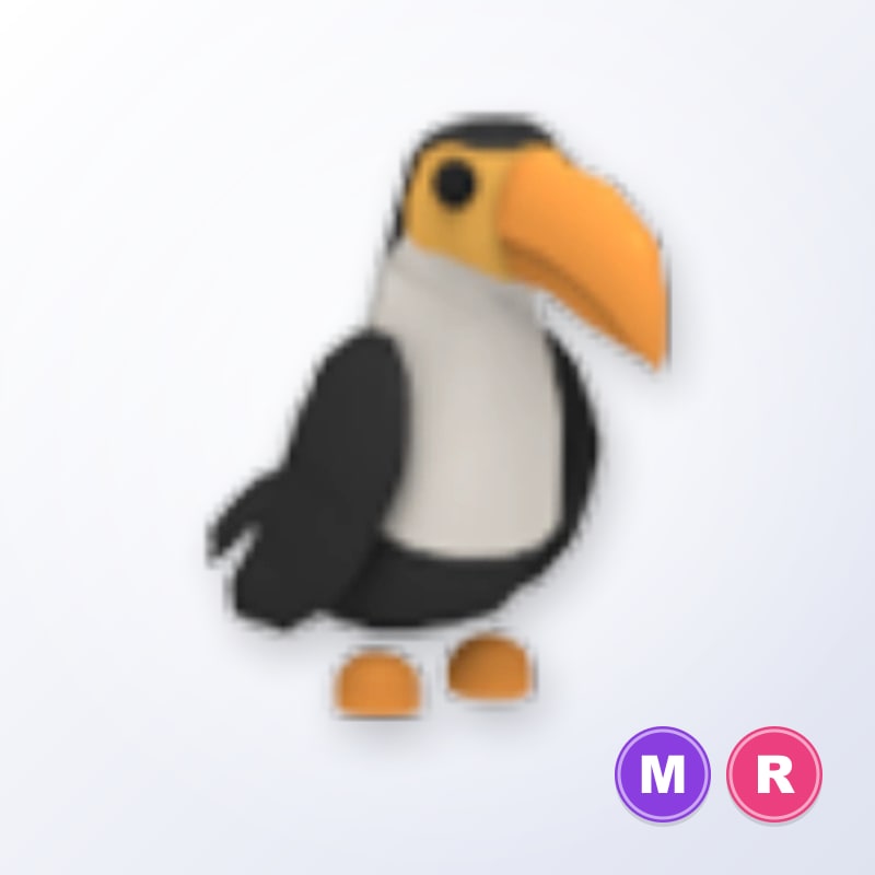 Toucan MR | Adopt Me
