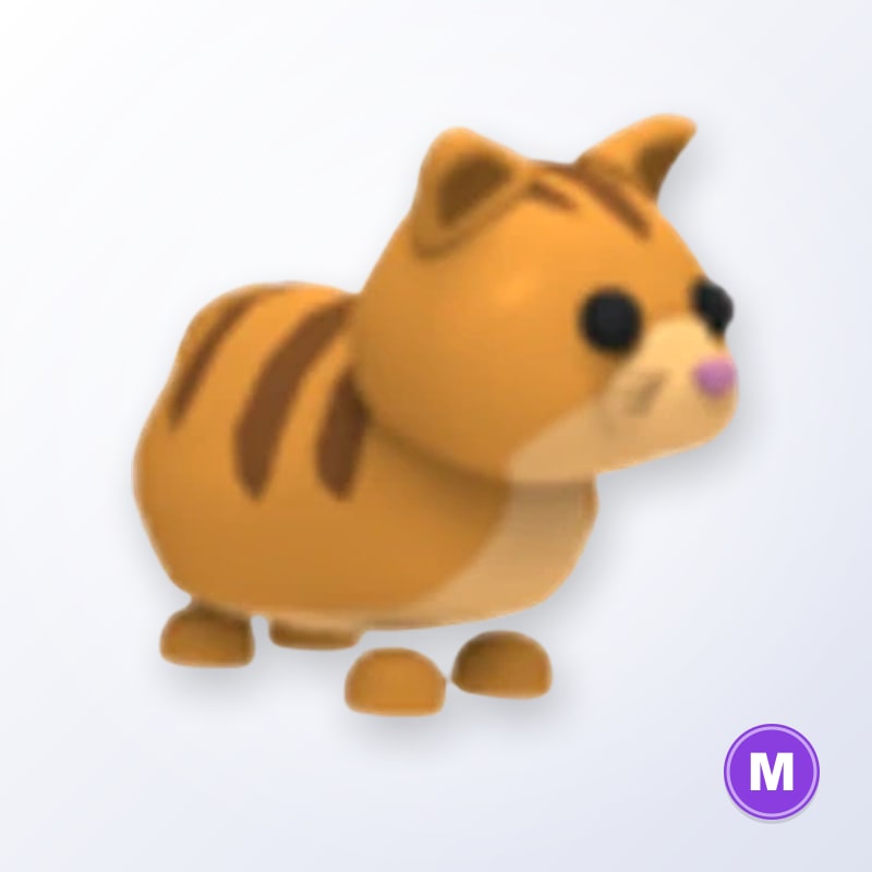 Ginger Cat M | Adopt Me