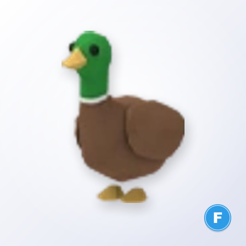 Drake F | Adopt Me