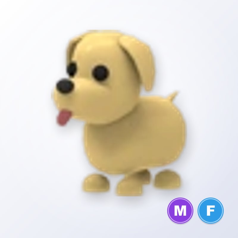 Dog MF | Adopt Me