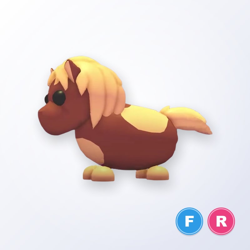 Shetland Pony Dark Brown FR | Adopt Me
