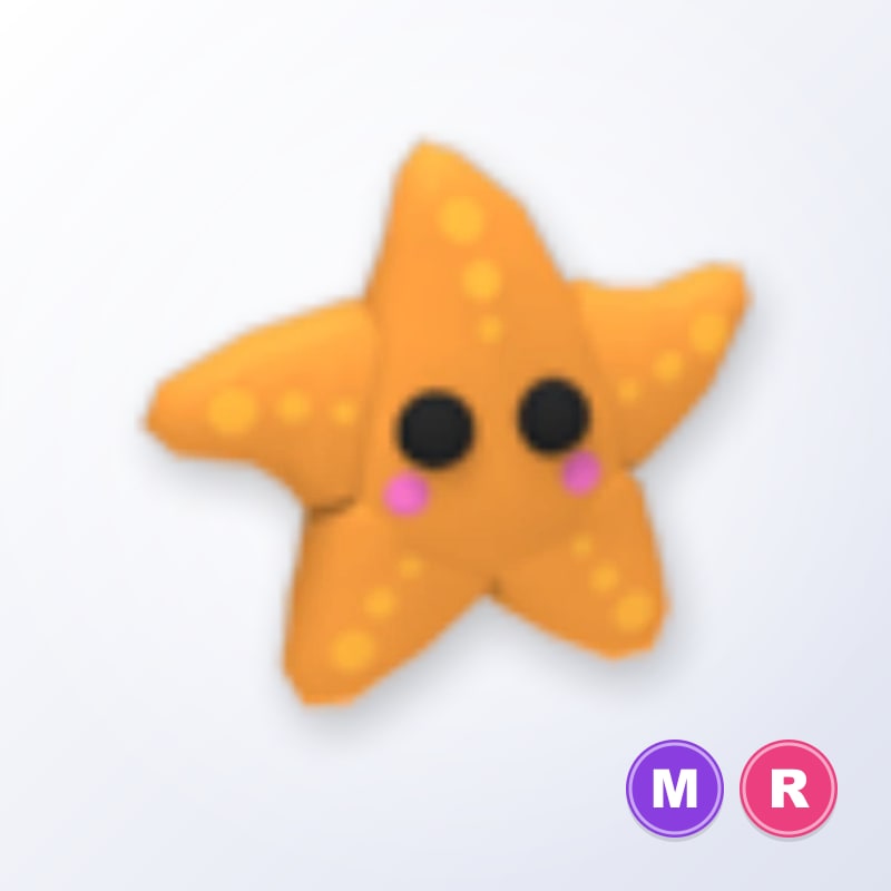 Starfish MR | Adopt Me