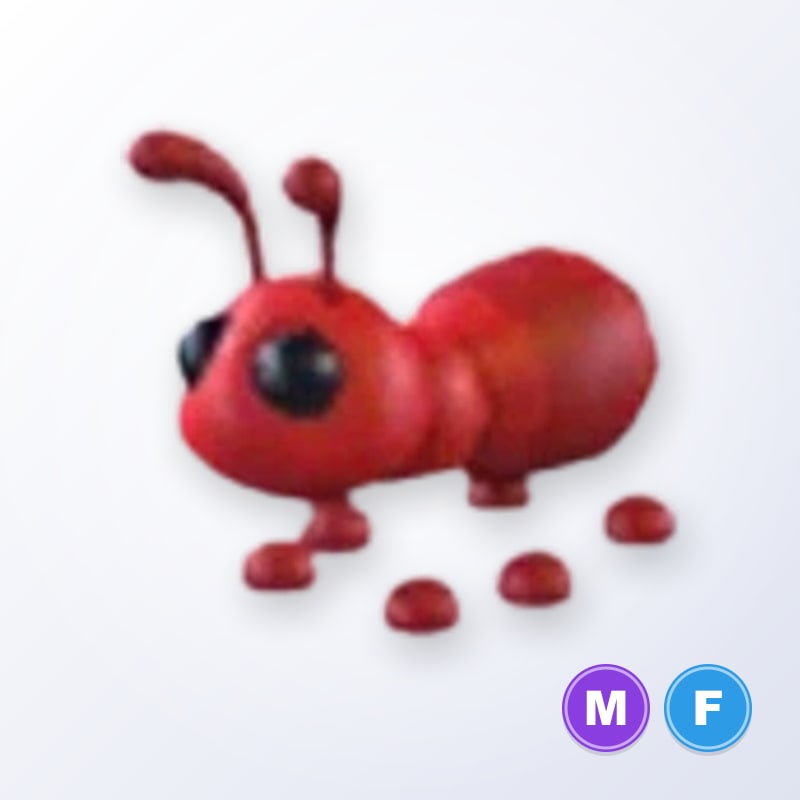 Ant MF | Adopt Me