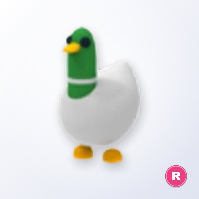 Silly Duck R | Adopt Me