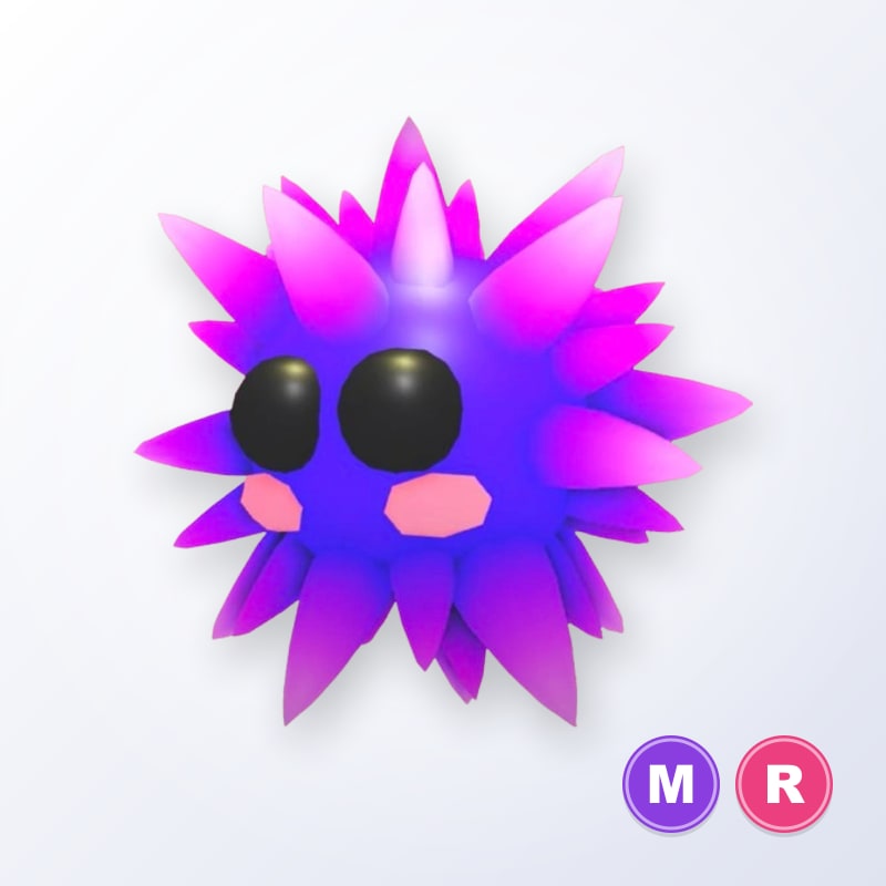 Urchin MR | Adopt Me