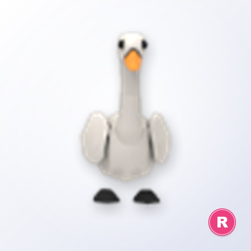 Swan R | Adopt Me