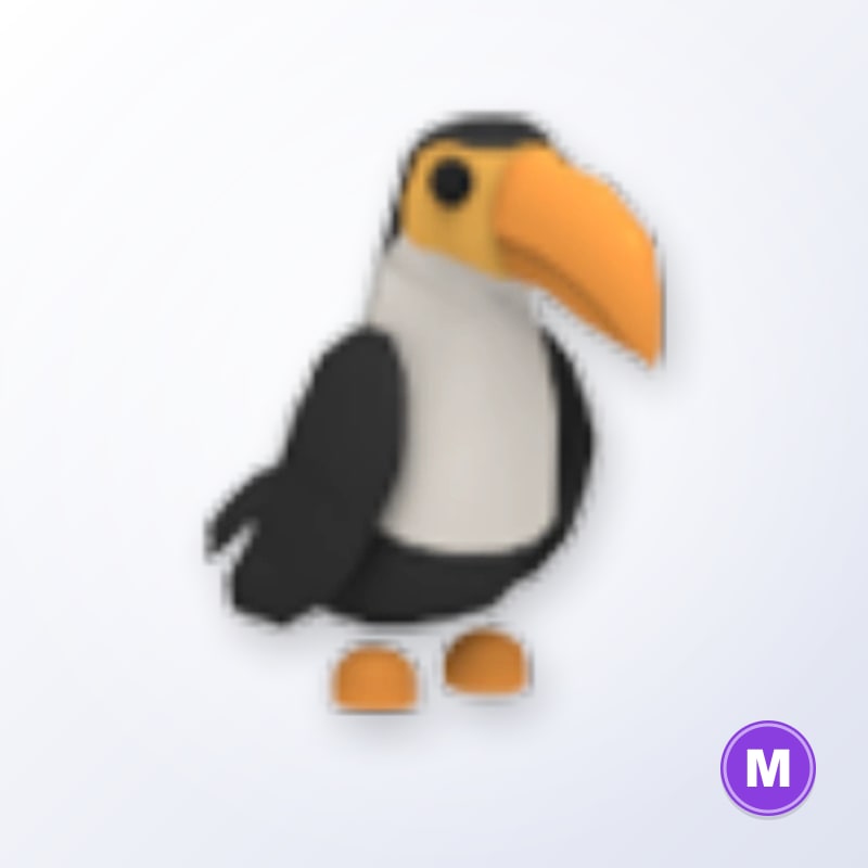 Toucan M | Adopt Me