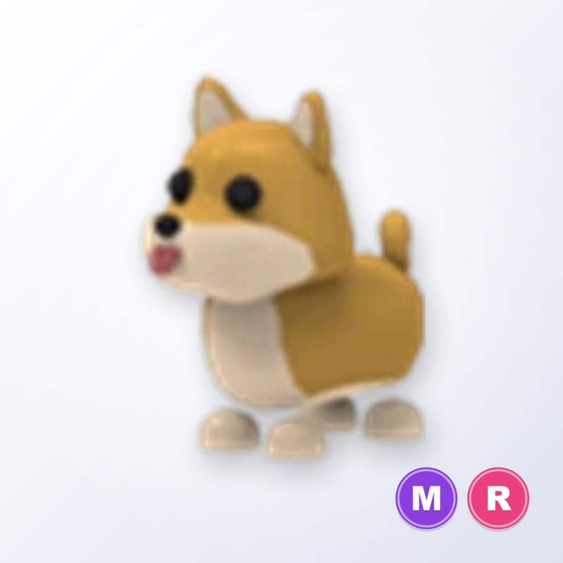 Shiba Inu MR | Adopt Me