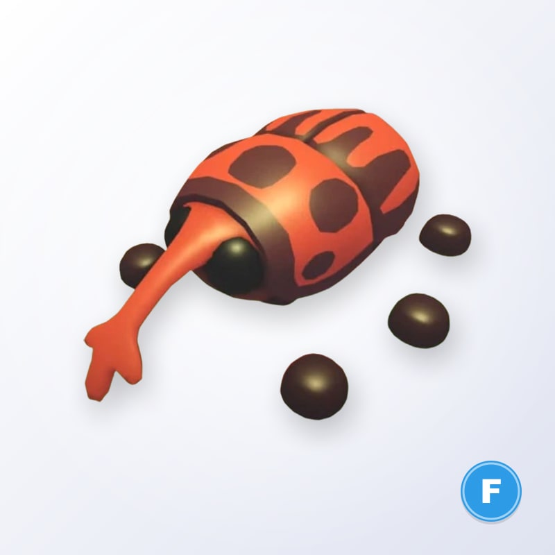 Weevil F | Adopt Me