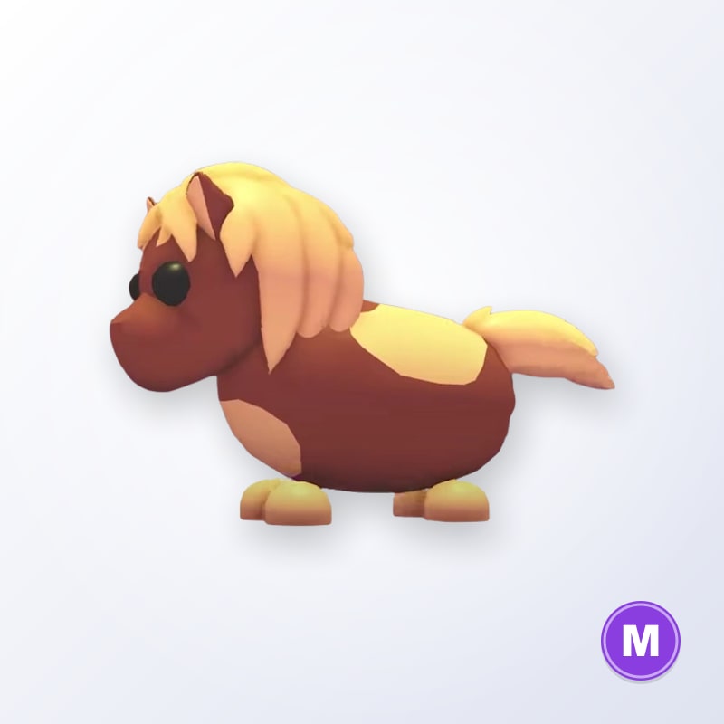 Shetland Pony Dark Brown M | Adopt Me
