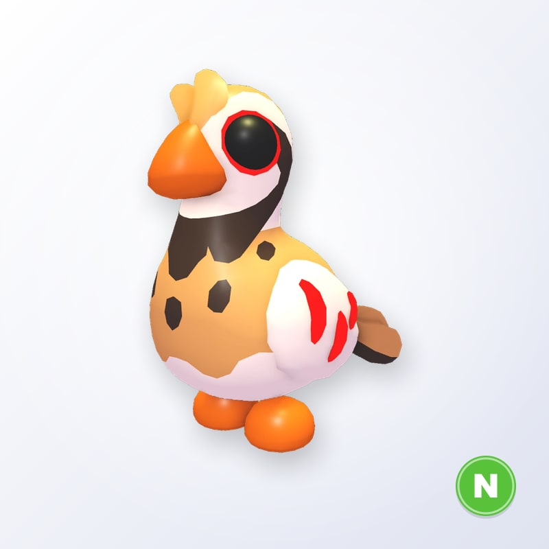 Partridge N | Adopt Me