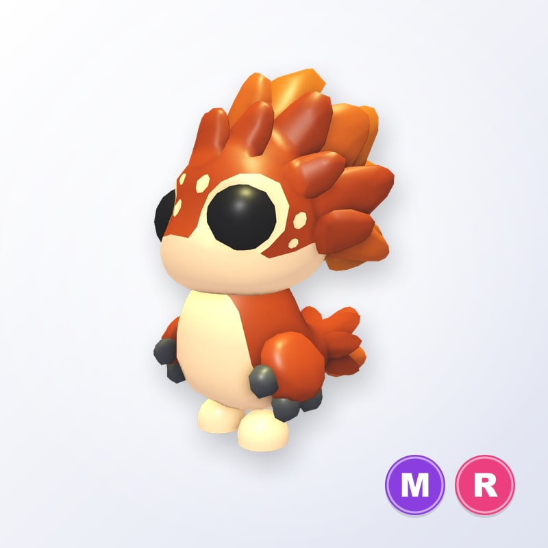 Chanekeh MR | Adopt Me