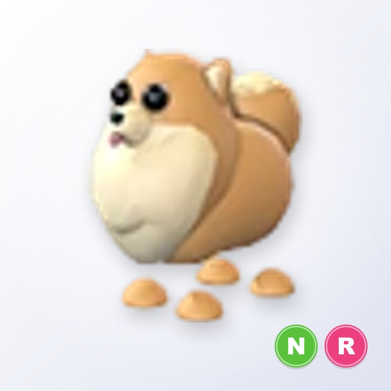 Pomeranian NR | Adopt Me