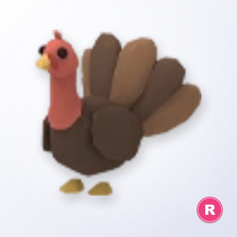 Turkey R | Adopt Me