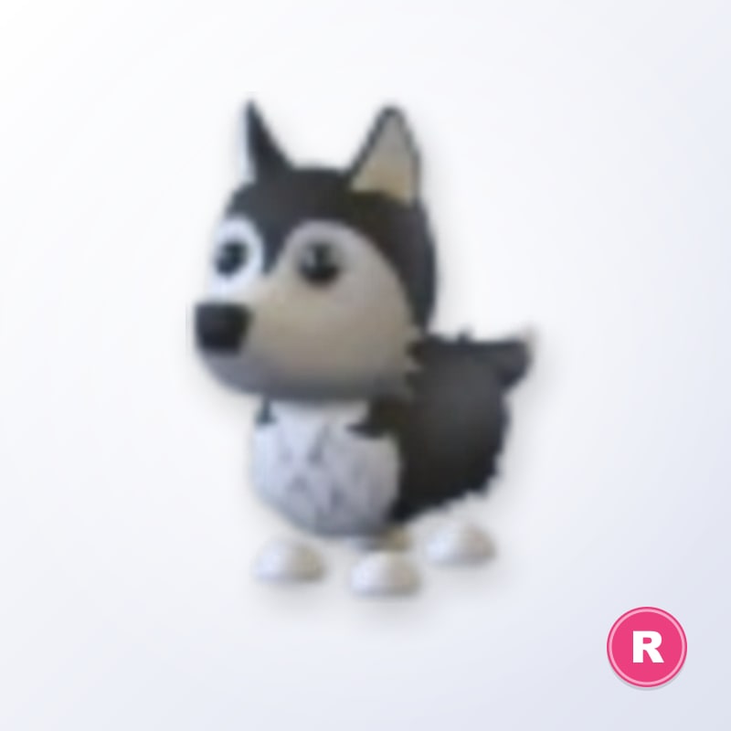Husky R | Adopt Me
