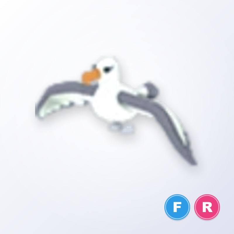 Albatross FR | Adopt Me