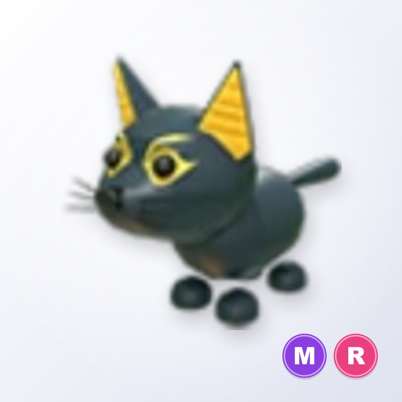 Abyssinian Cat MR | Adopt Me