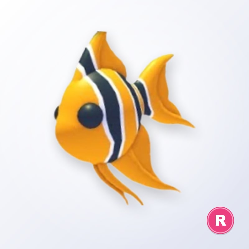 Angelfish R | Adopt Me